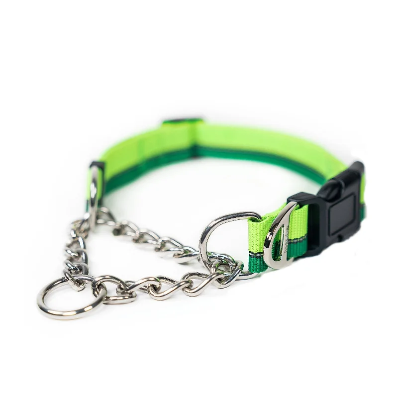 Martingale Dog Collar 2.0