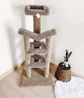 Nathan's Kitty Condos "Groucho" Kitty Condo