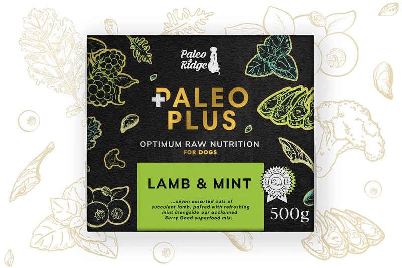 Paleo Ridge Paleo Plus Lamb & Mint 500g