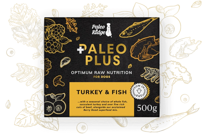 Paleo Ridge Paleo Plus Turkey & Fish 500g