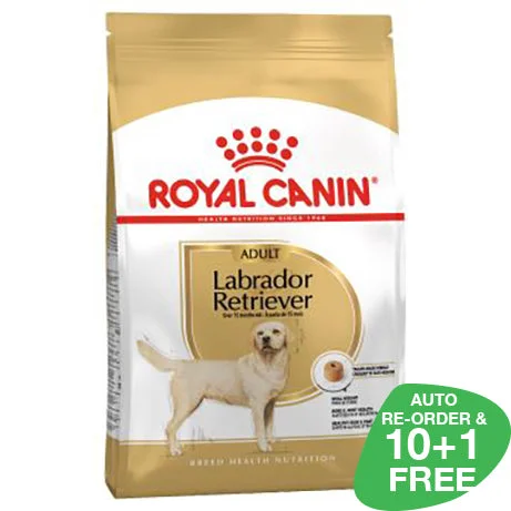 Royal Canin Labrador Adult 12kg