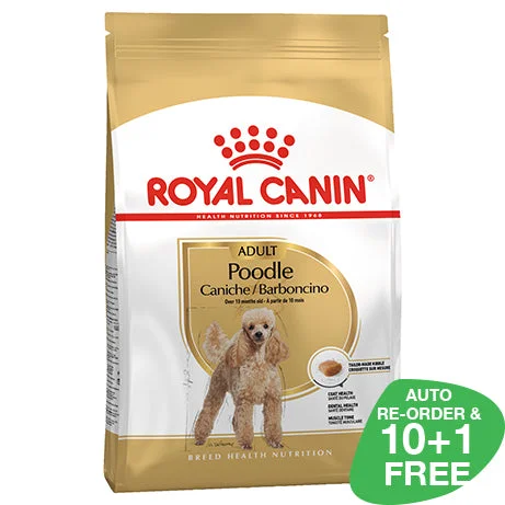 Royal Canin Poodle Adult