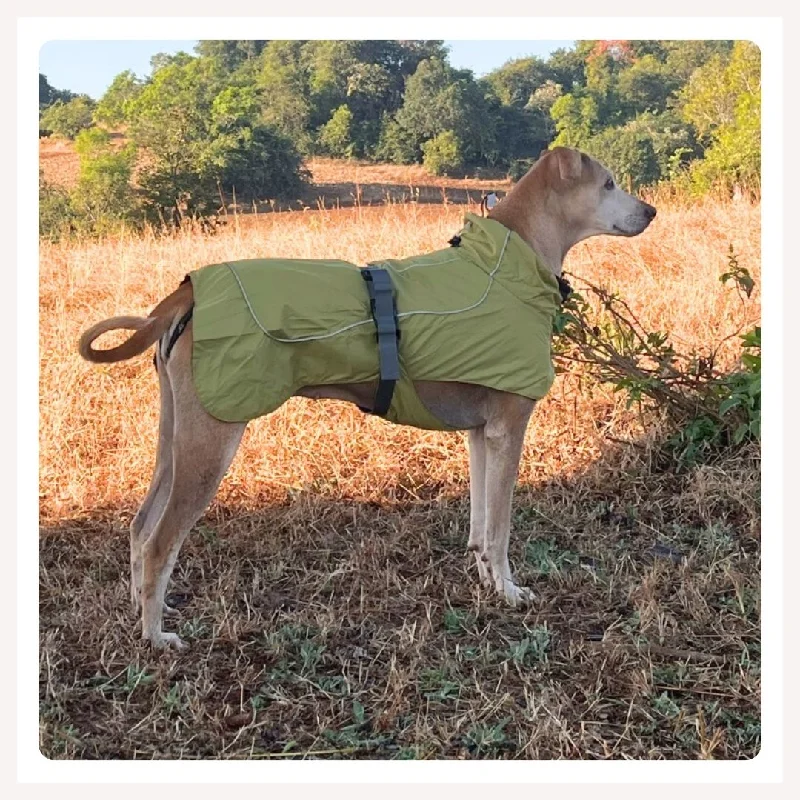 A+a Pets' Adventure Raincoat for Dogs