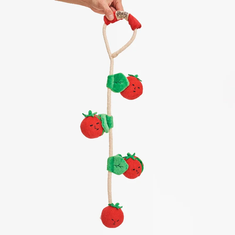 Cherry Tomato Nose Work & Tug Toy