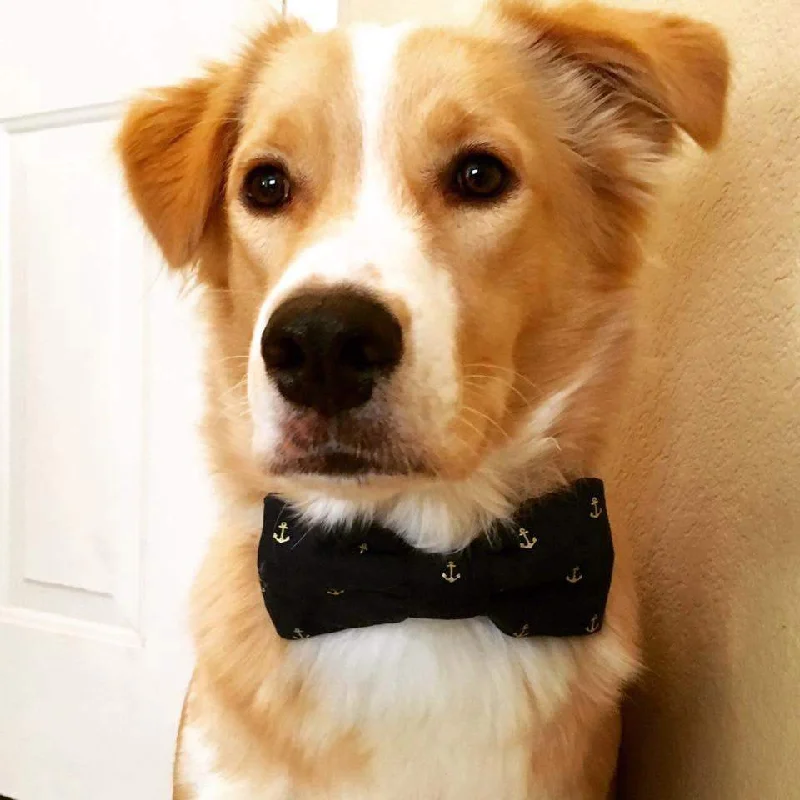 Dog Bow Tie