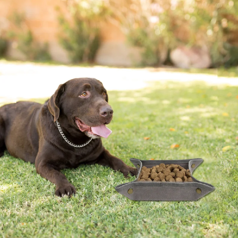 Foldable Canvas Easy To Clean Pet Portable Food Bowl