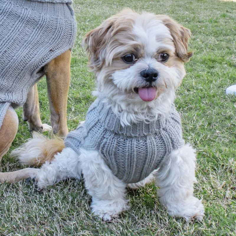 Lolli Living | Cable Knit Dog Sweater - Grey