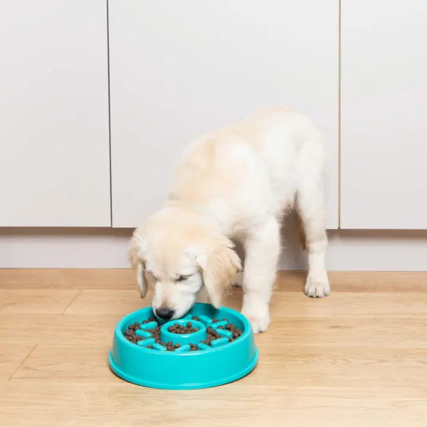 Zippy Paws Happy Bowl - Donut