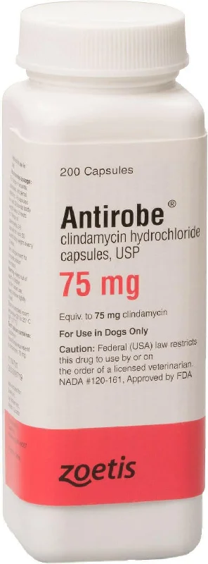 Antirobe (clindamycin hydrochloride) Capsules, 75mg