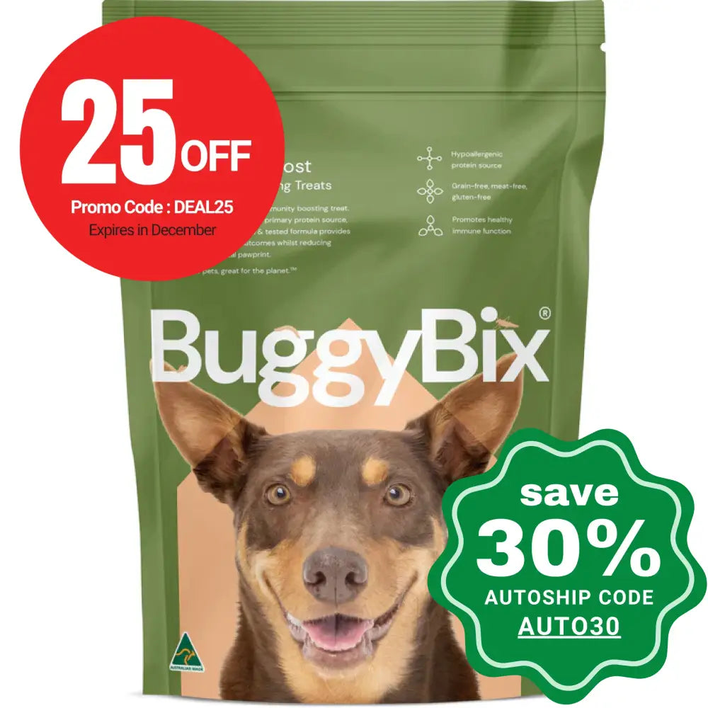 BuggyBix - Dried Treats For Dogs - All Ages + Immunity Boost Eco-Protein Training Treats - 170g (EXP: 09/12/2024)