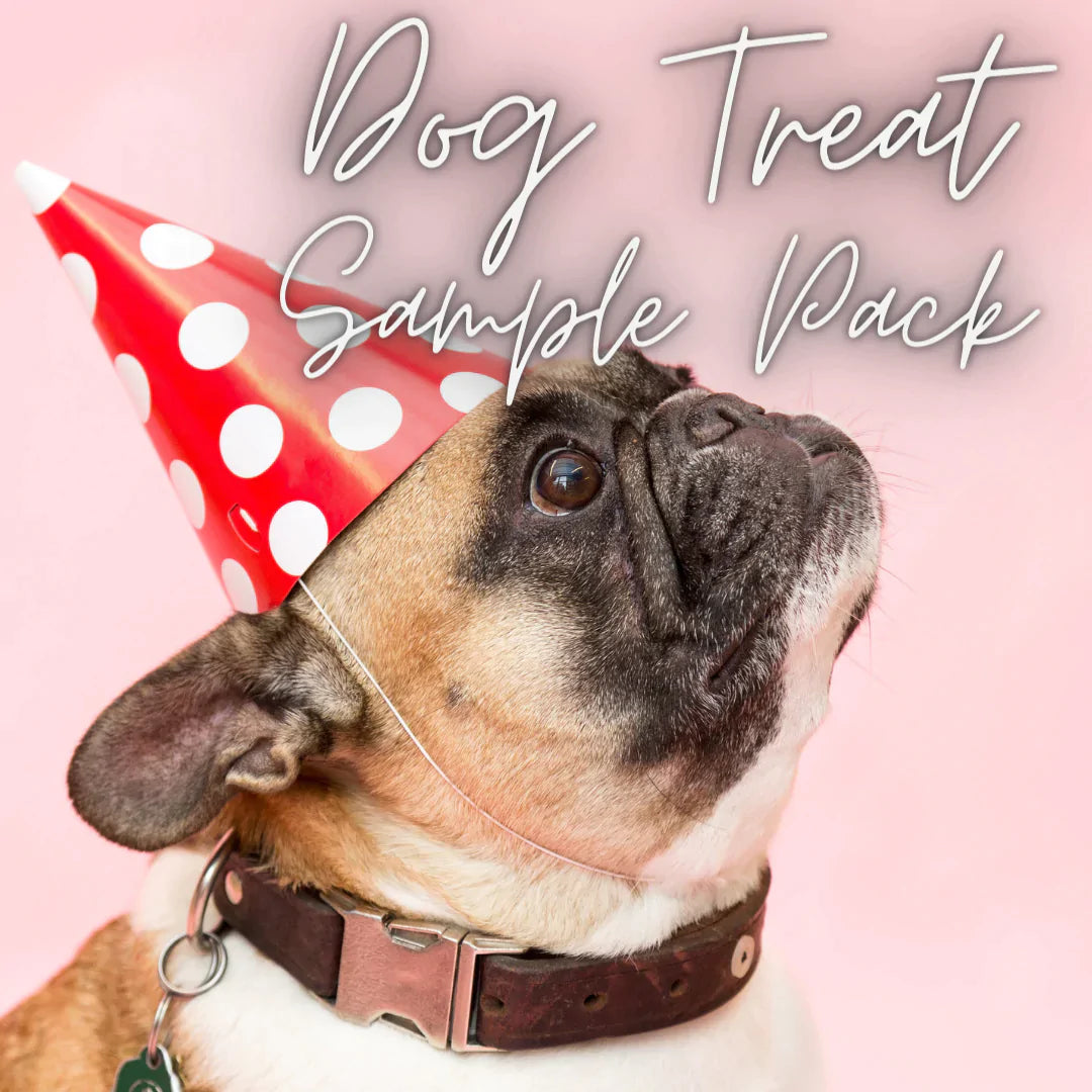 Dog Treat Sample Pack